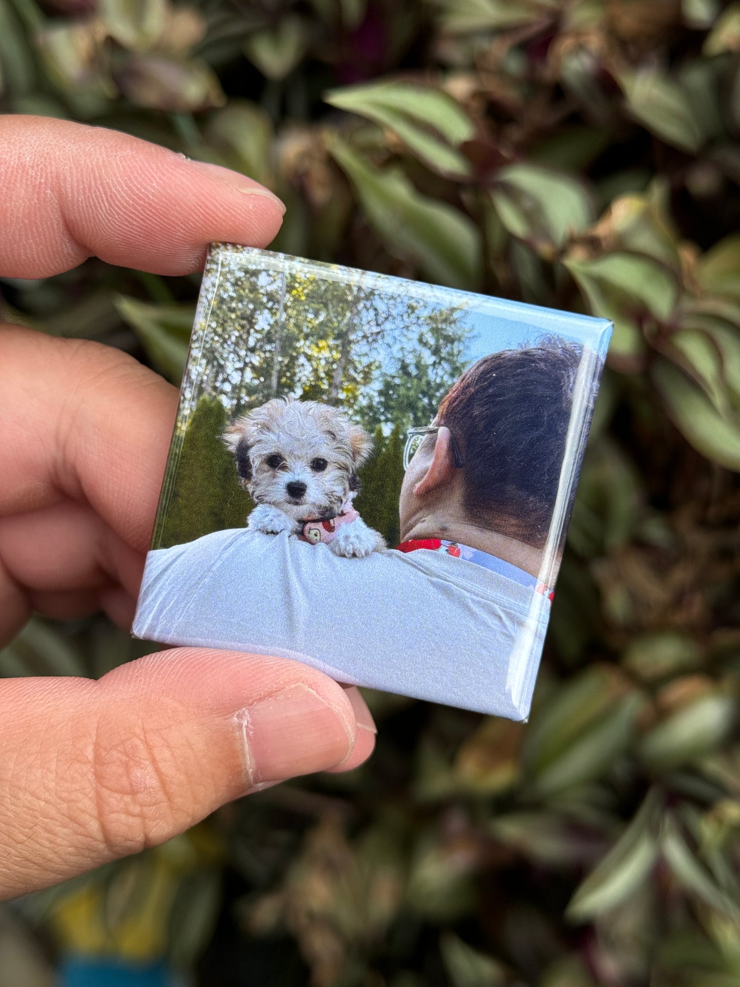 Personalize Your Own Magnets