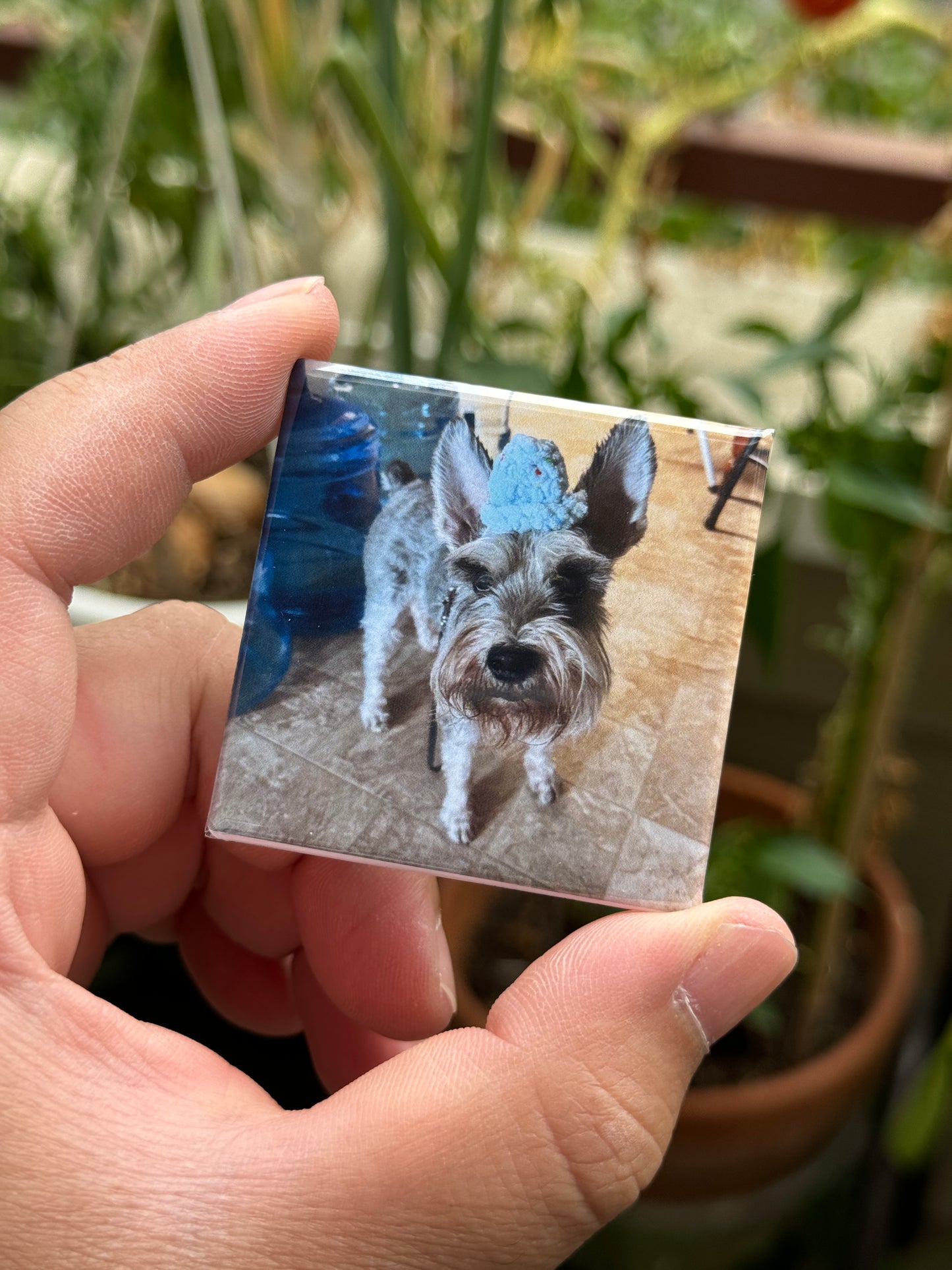 Personalize Your Own Magnets