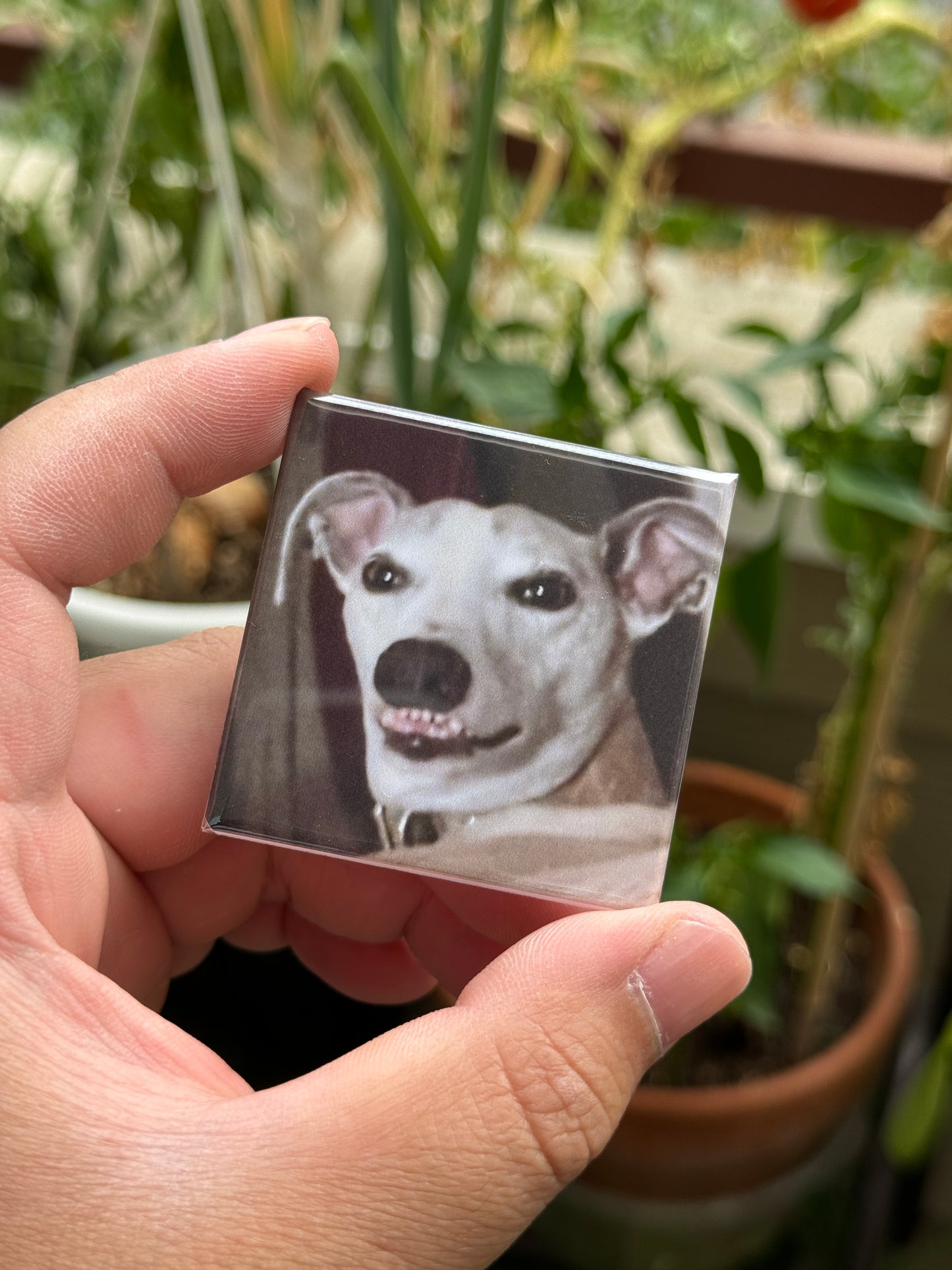 Personalize Your Own Magnets