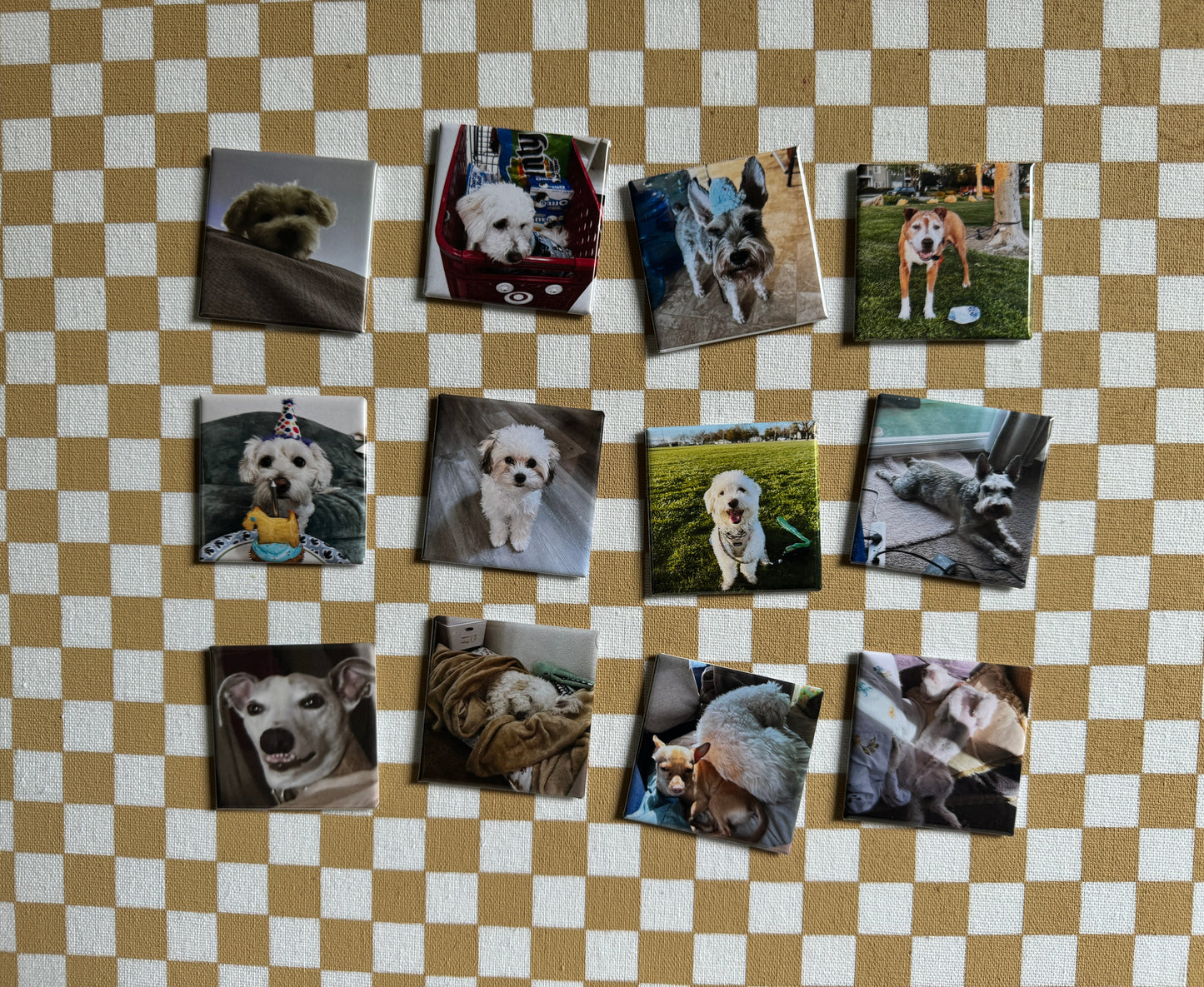 Personalize Your Own Magnets